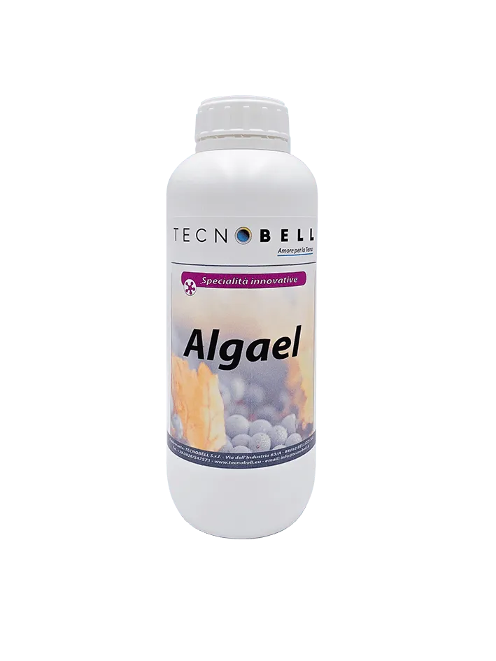 Algael
