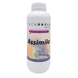 Nawóz z aminokwasami Assimila na stres i suszę