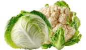 Kapusta głowiasta / Kalafior